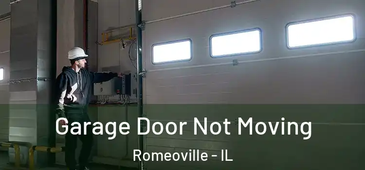  Garage Door Not Moving Romeoville - IL