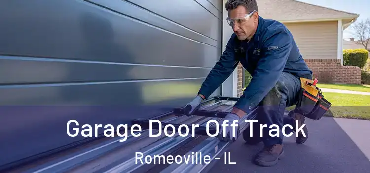  Garage Door Off Track Romeoville - IL