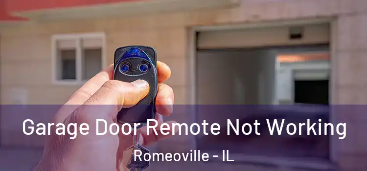  Garage Door Remote Not Working Romeoville - IL