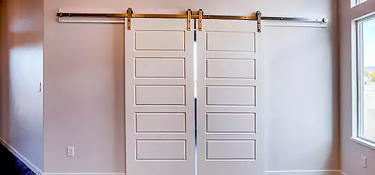 Glass Barn Door with Installation Hardware Kit Romeoville
