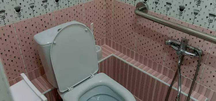 Meeting Diverse Needs With Accessible Restroom Solutions in Romeoville, IL