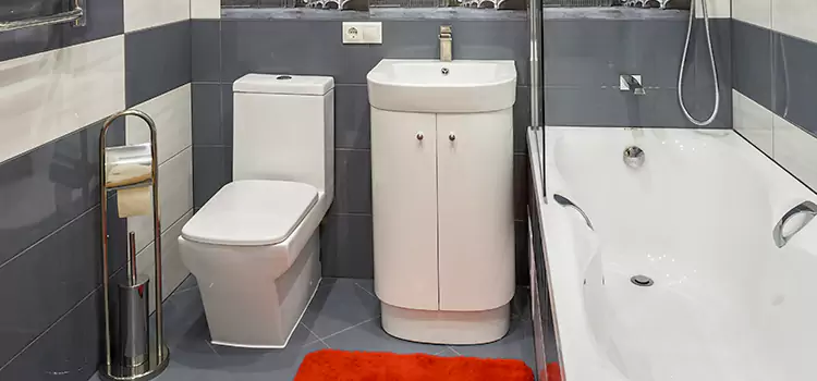 Hansgrohe Shaving Mirror Romeoville